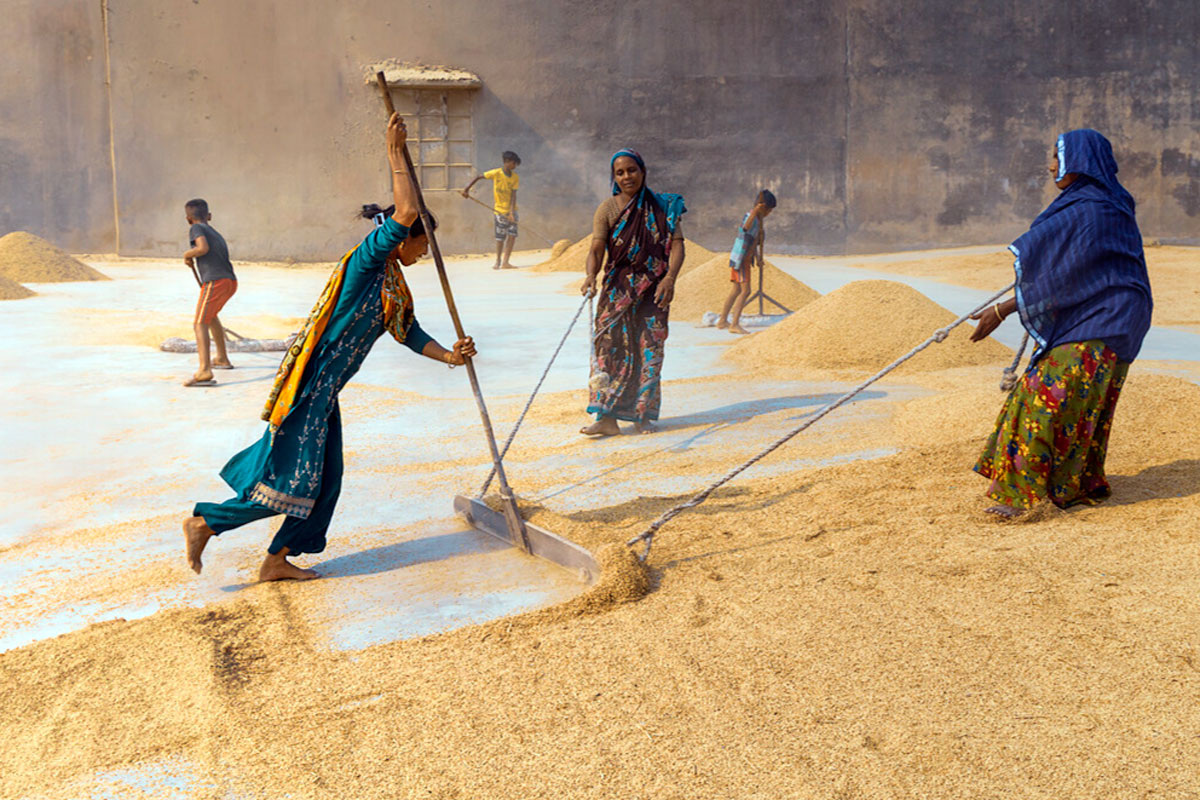 Ответ в переходе от материального изобилия к "экономике достаточности"