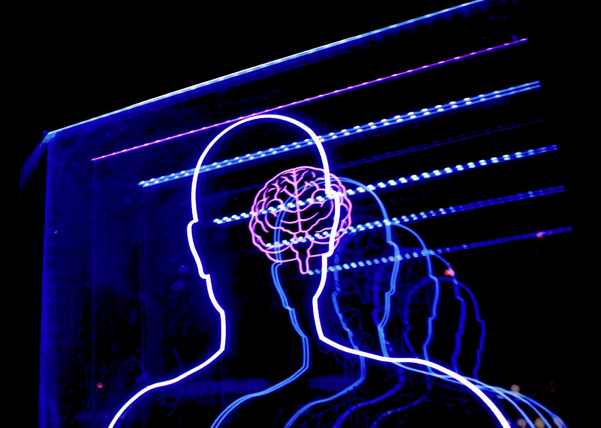 Левый мозг отвечает за навигацию. Правый мозг помнит, кто вы есть