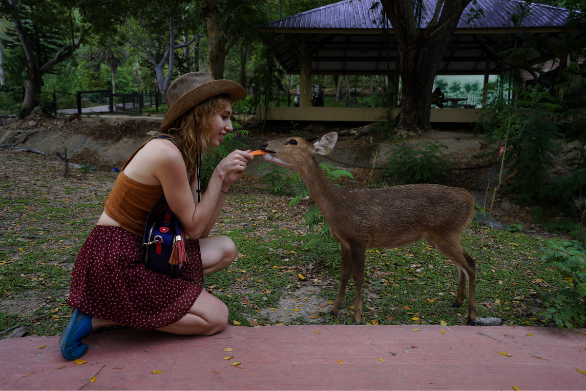 люблю животных ❤️