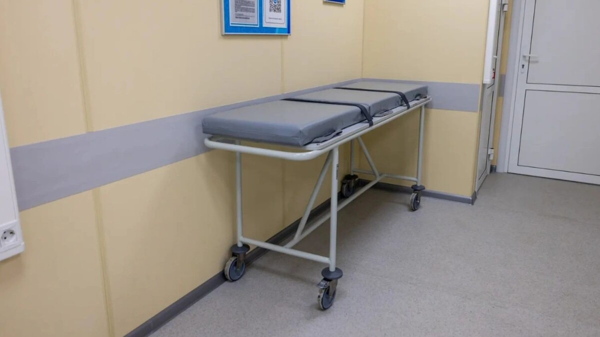    Фото: Юлия Чудинова / «Ямал-Медиа»