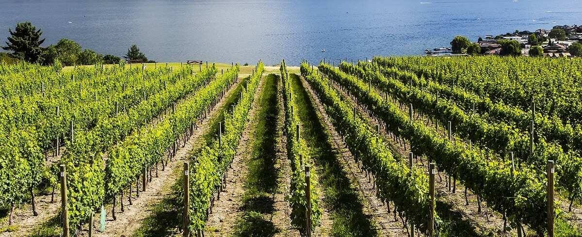 Юридические риски и как их избежать