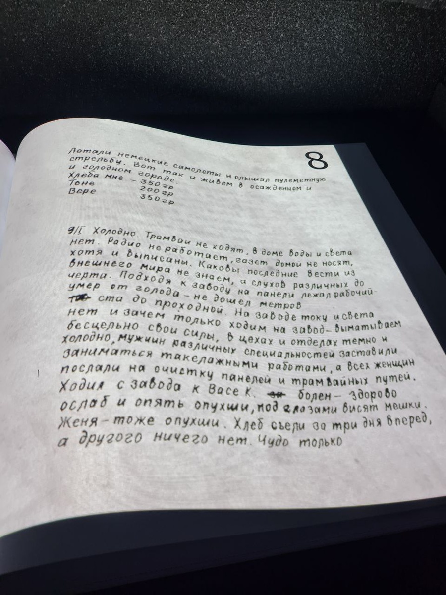 Интерактивный дневник блокадника - переворачиваешь страницу и на белом фоне появляется как с печатной машинки текст. Читаешь - и кровь стынет в жилах...