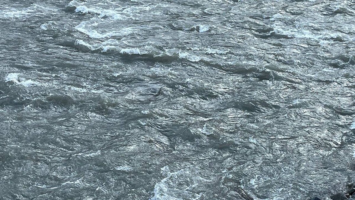    Фото: телеканал «Краснодар»