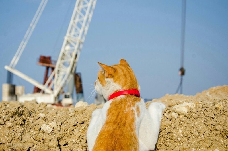 Источник Яндекс-картинки