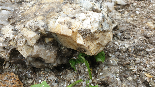 Кристалл берилла. Фото с места находки на Асубулаке.