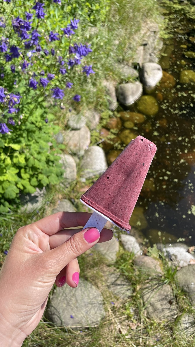 После того, как на отдыхе на островах 🏝️ я попробовала кокосовое мороженое.. я продолжала о нем мечтать! Это было самое вкусное ice cream lactose free в моей жизни! 
