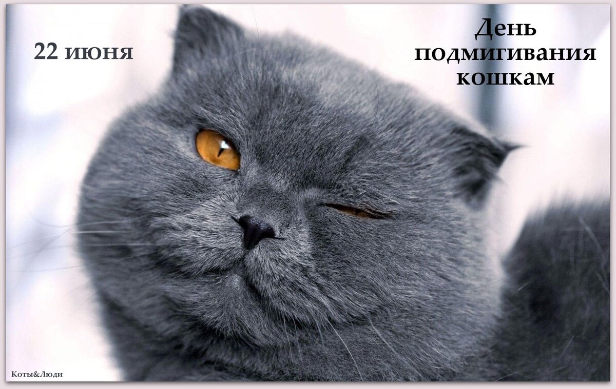 Коллаж автора. Использовано фото: https://in.pinterest.com/pin/517773288381753180/