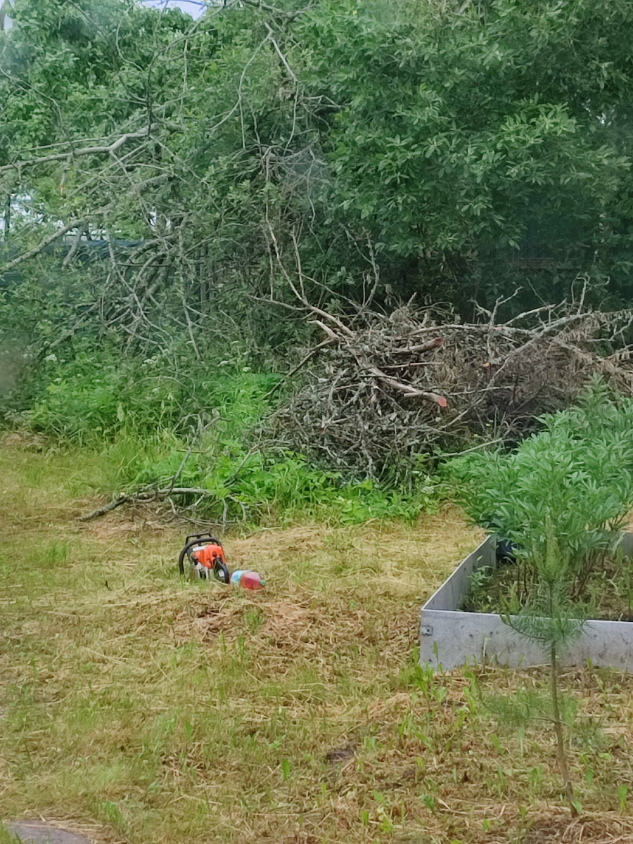 Это фото участка "до"