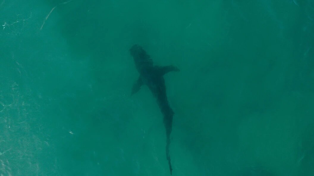    Gil Cohen Magen/XinHua/Globallookpress