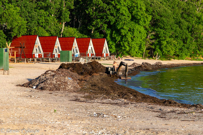 Первая линия домиков б/о Казачка. 