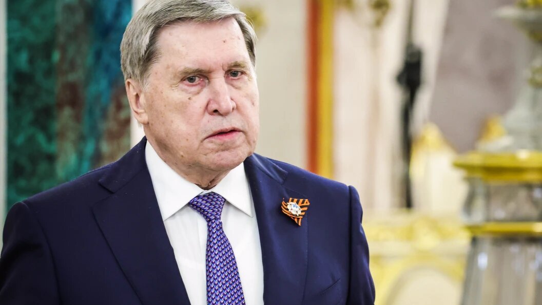    Фото: Roman Naumov/URA.RU/Globallookpress