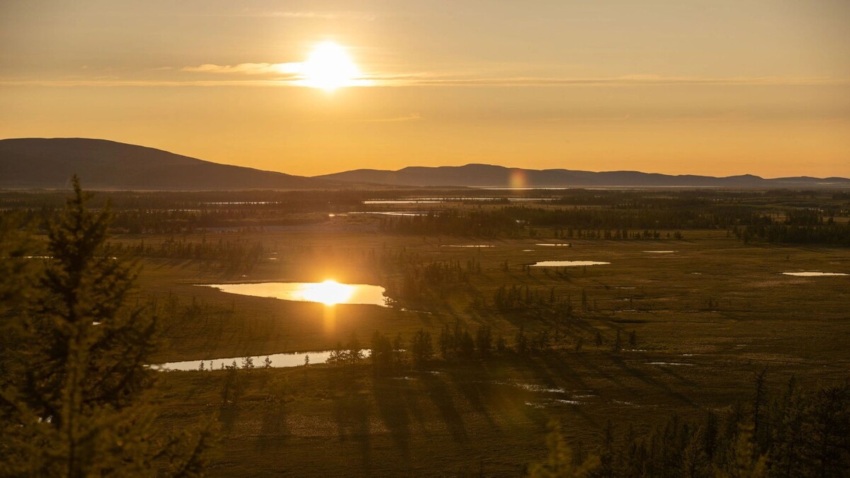    Фото: Федор Воронов / «Ямал-Медиа»