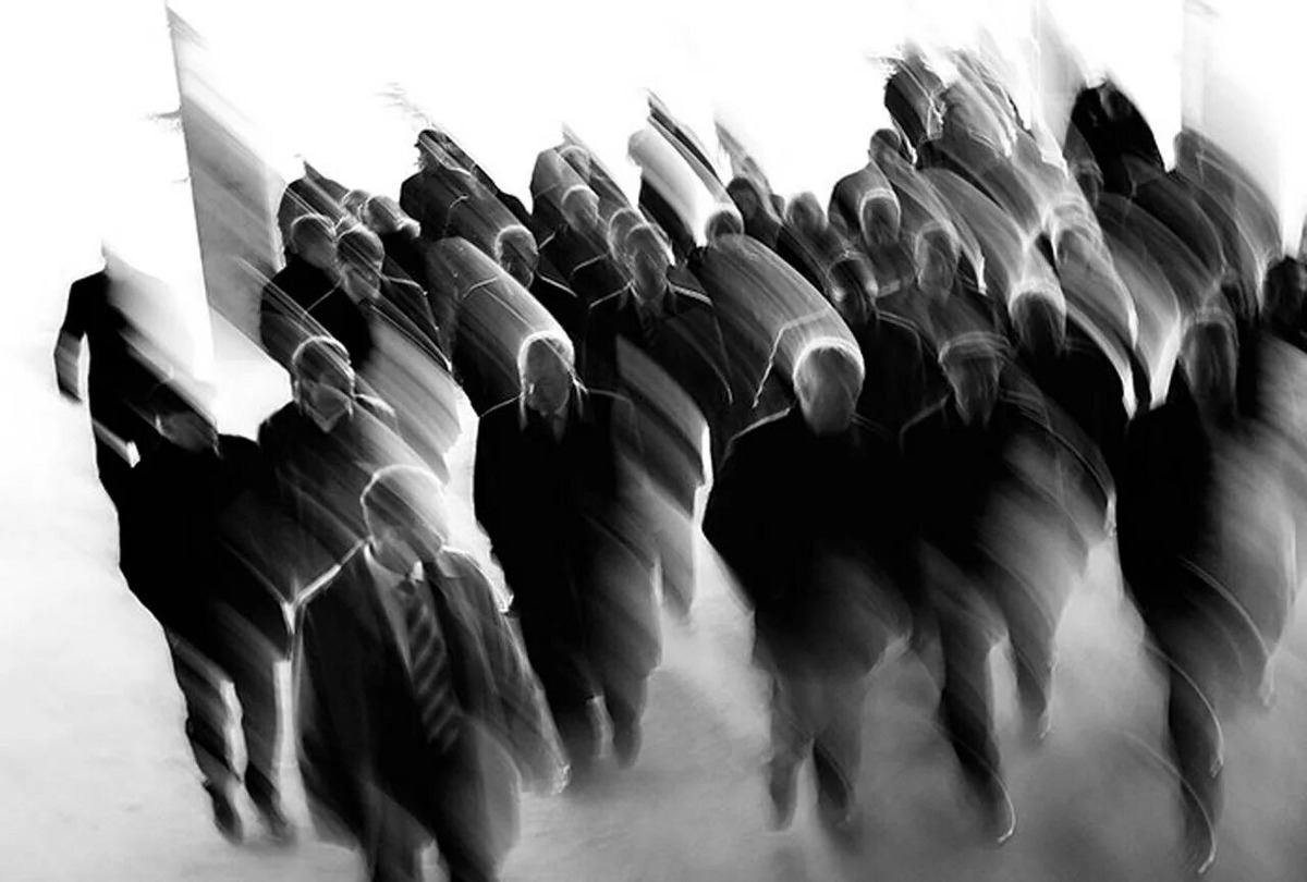 Фото из свободных источников. 