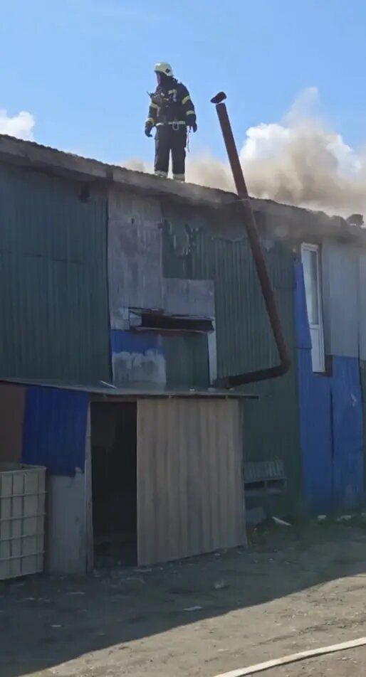    Фото: скриншот из видео в телеграм-канале главы Красногвардейского района Андрея Хорта.