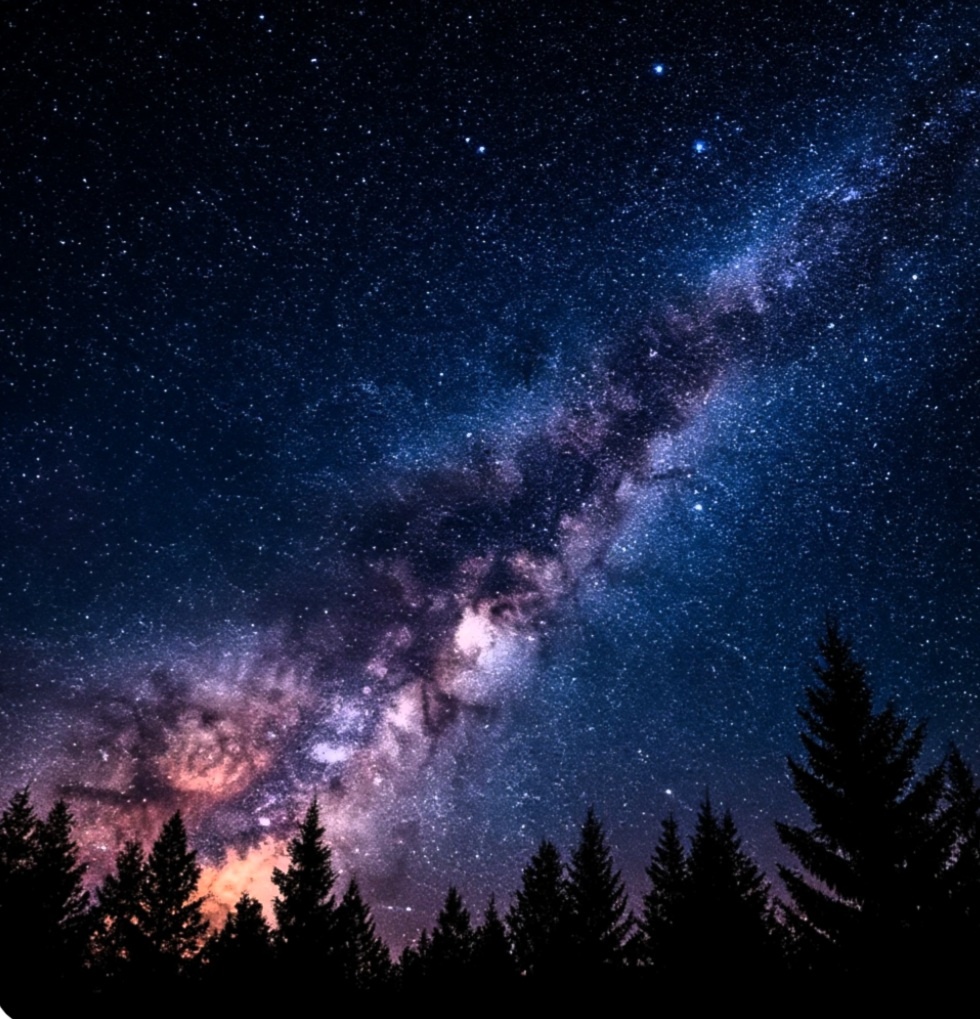 Душа иди на свет...