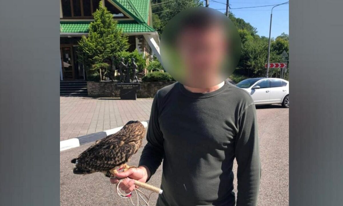    Фото t.me/police_sochi