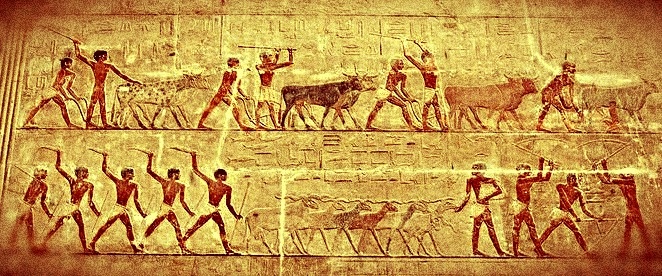 Рельеф из гробницы Ti в Саккаре, V династия