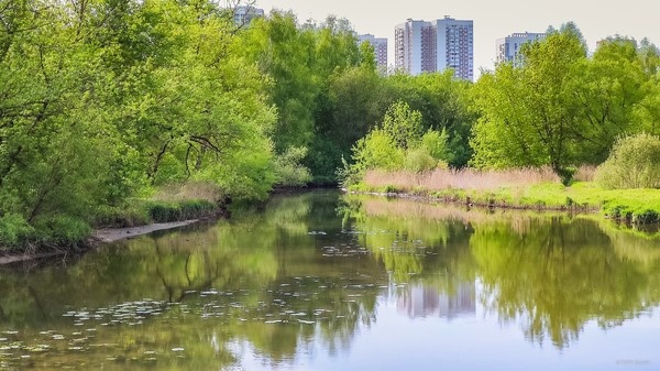 Мы так устроены, чтобы быть занятыми чем угодно, считая это обычным 
делом, находя в этом какой-то смысл, или считая это работой ... С 
Воскресением Вас!   

Река Сетунь, Москва ...   

  