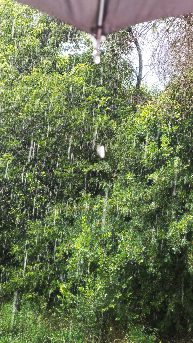 Как ливанёт! Хорошо, что мы под зонтом 