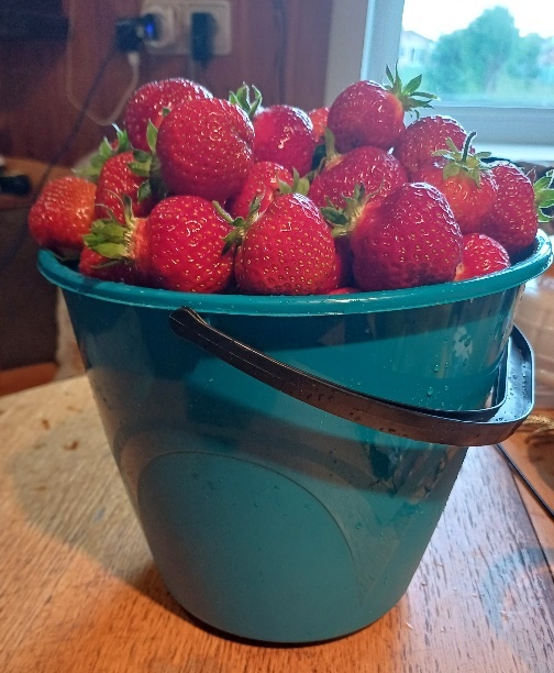 Ведро 5 литра