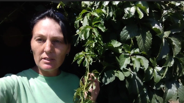 Покинула, но не бросила. Снова работа и красоты на даче.