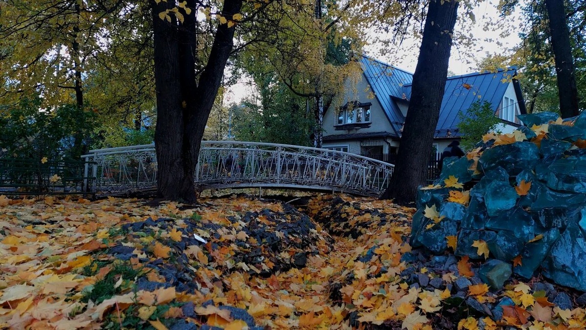 Посёлок художников — уникальное место посреди застроенной многоэтажками Москвы. Фото: Мария / Яндекс Карты