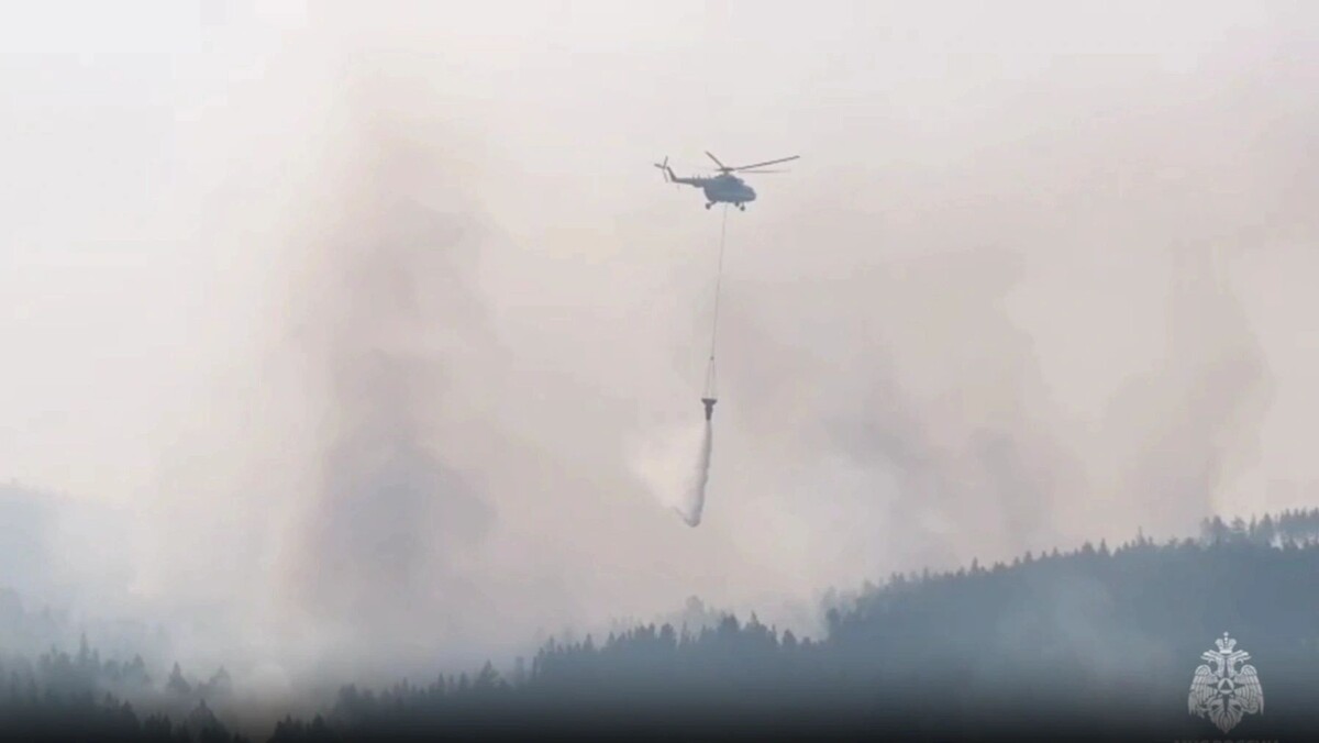    Фото: t.me/zabmchs