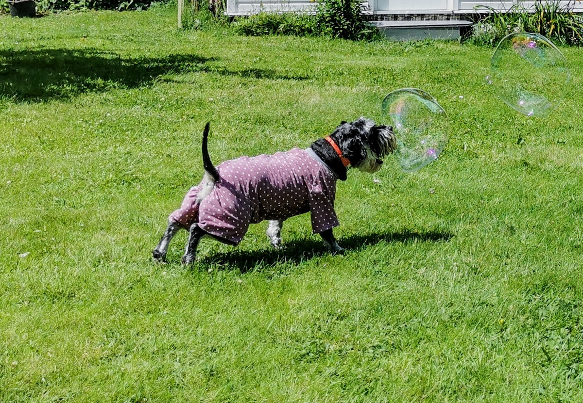 За мгновение до