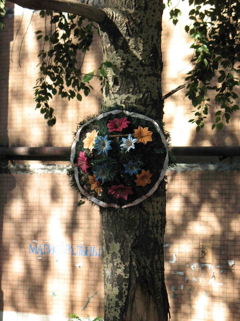 Дерево кенотаф