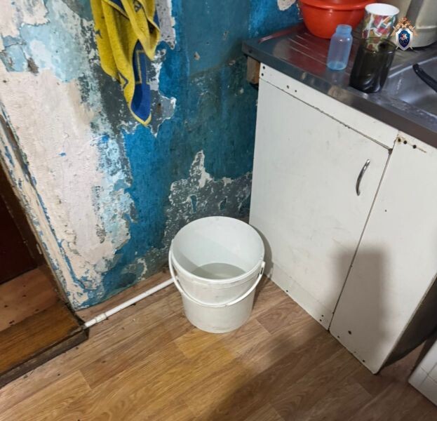    Фото: СУ СК по Омской области