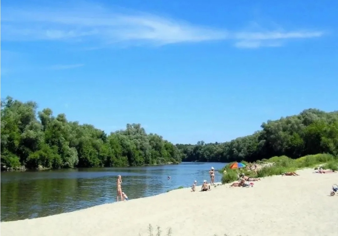 В этом году спрос на речки, пруды и озера возрастет так как море теперь не самое чистое стало и все перекантуются у себя в городах, переждут весь этот момент