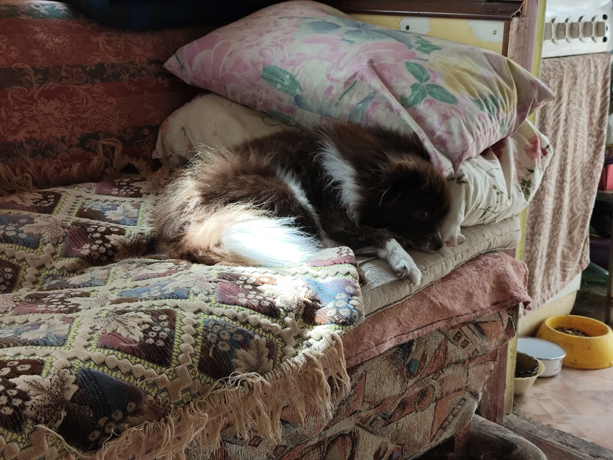 А моя дрыхнет... 