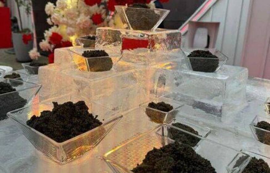    «На ПМЭФ черная икра в кастрюлях, а 99 процентов россиян доедает последний *** без соли»: Скурлатов