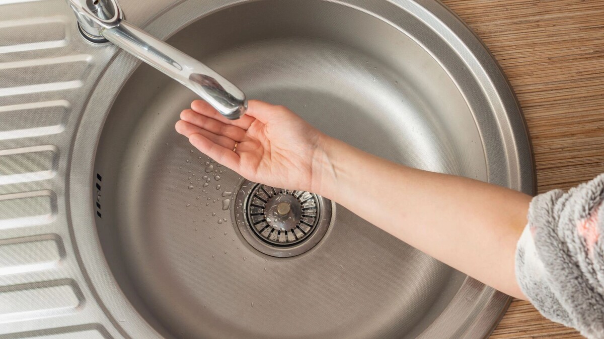    Фото: Sergei Gorin/Shutterstock/Fotodom