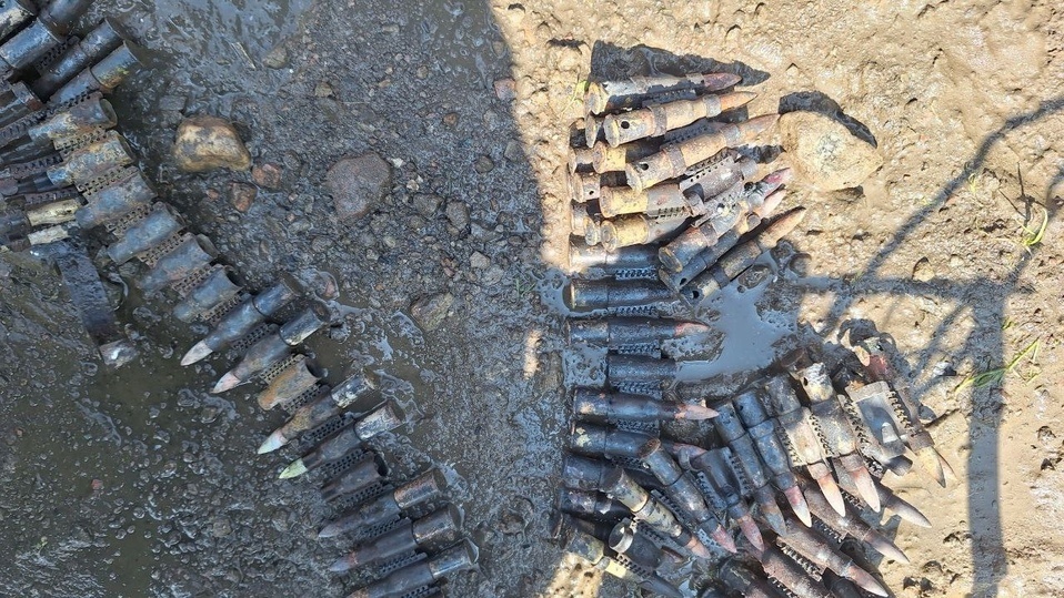     Фото: пресс-служба Красногвардейского района