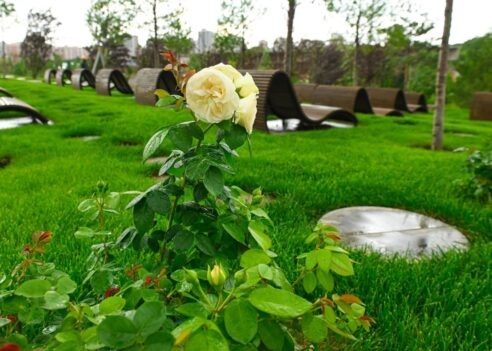 Фото: t.me/parkkrd📷
📷
