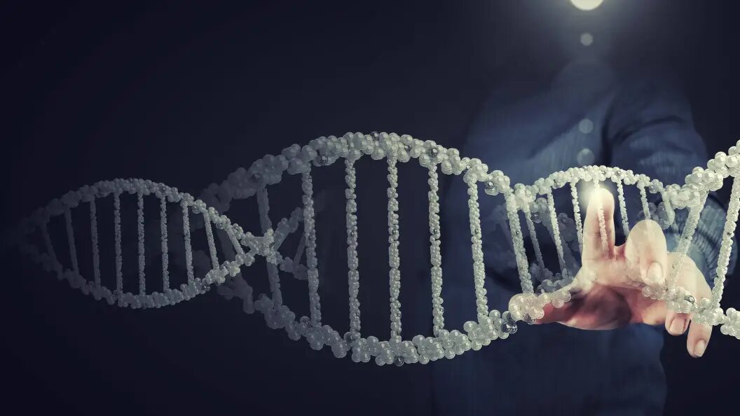    © Sergey Nivens via www.imago-imag/Globallookpress