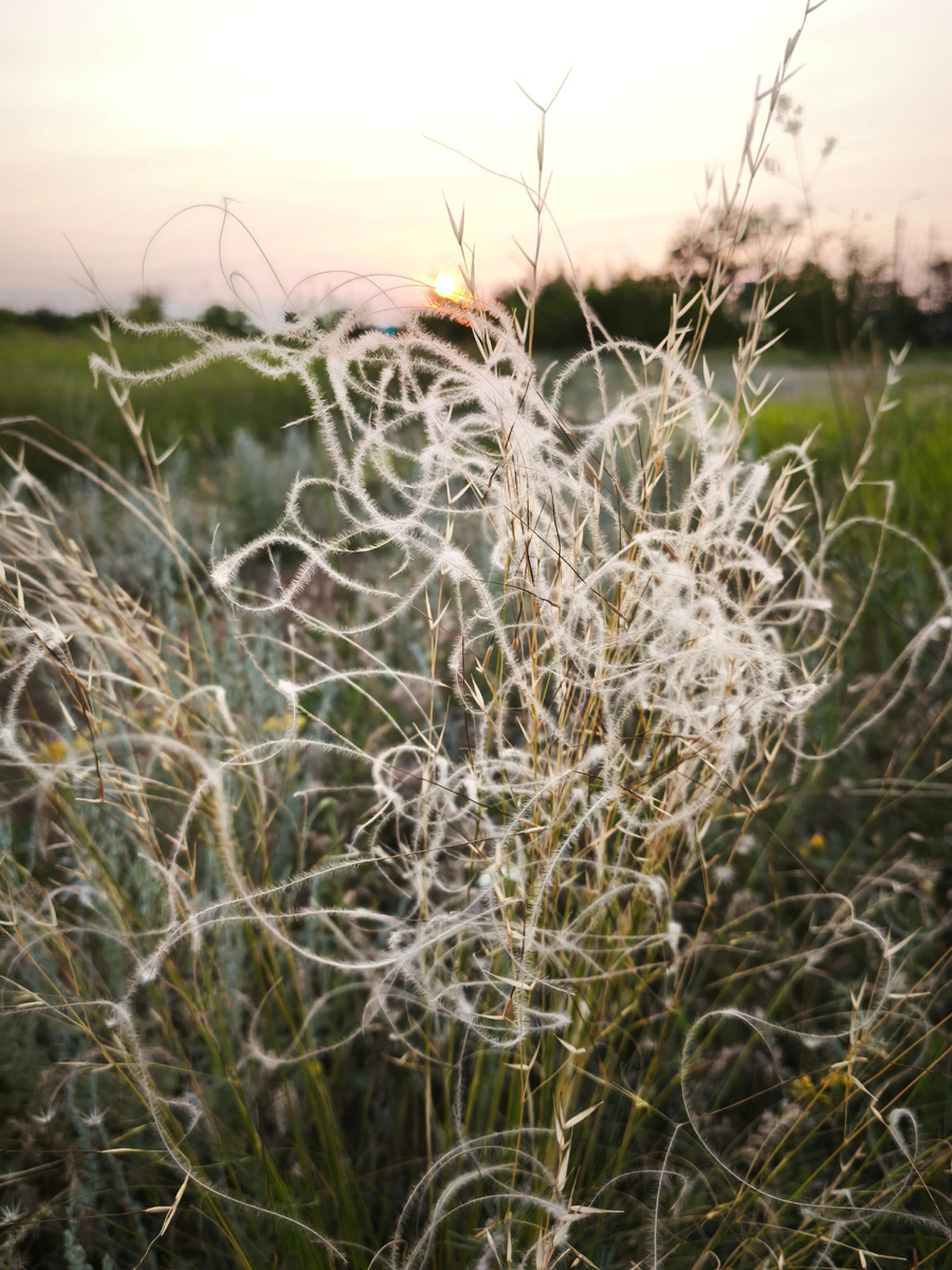 Мысли, их витиеватость визуально, может выглядеть так. Фото автора.
