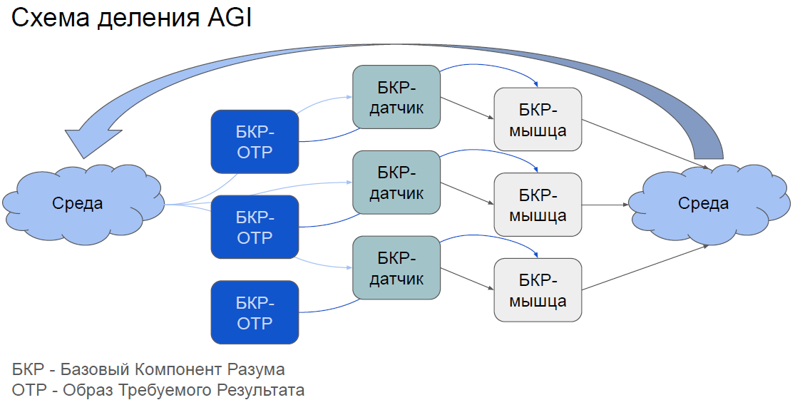 Схема деления AGI