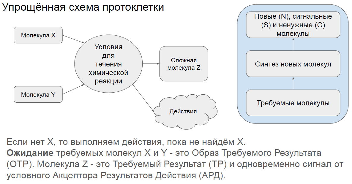 Упрощённая схема протоклетки