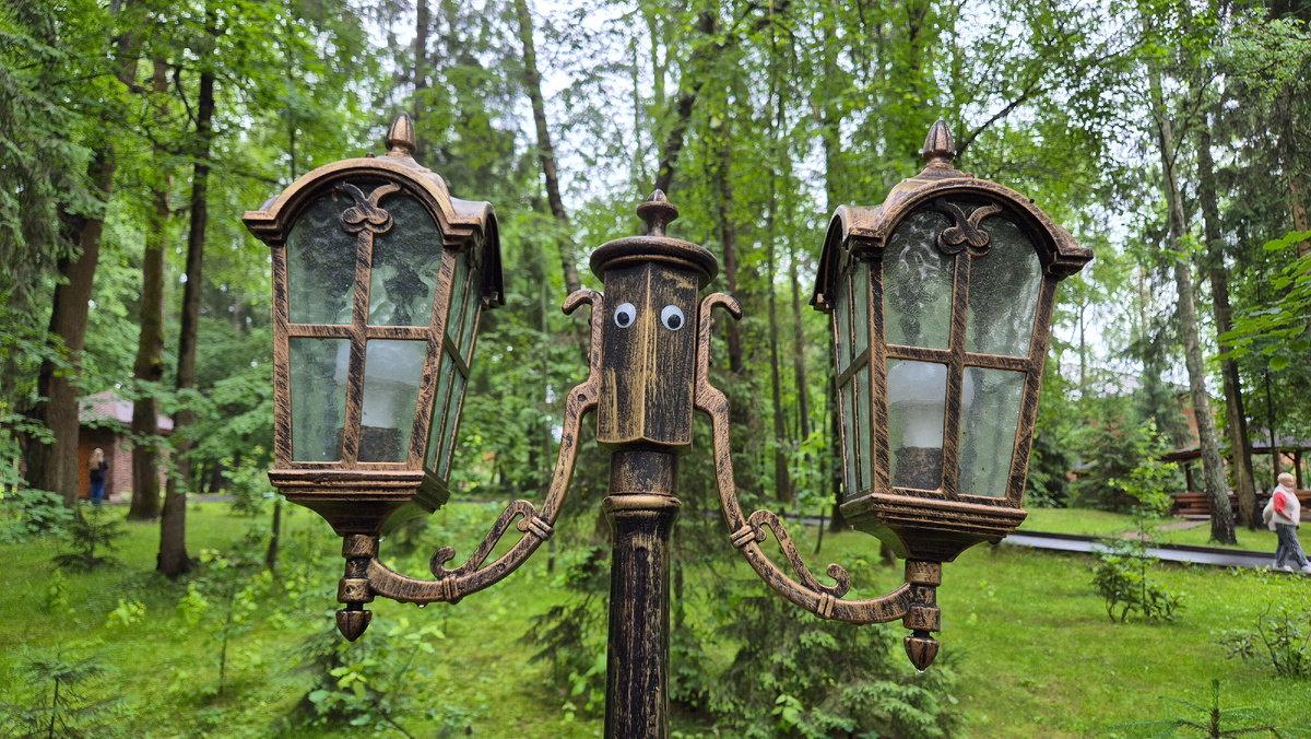 Я слежу за тобой...