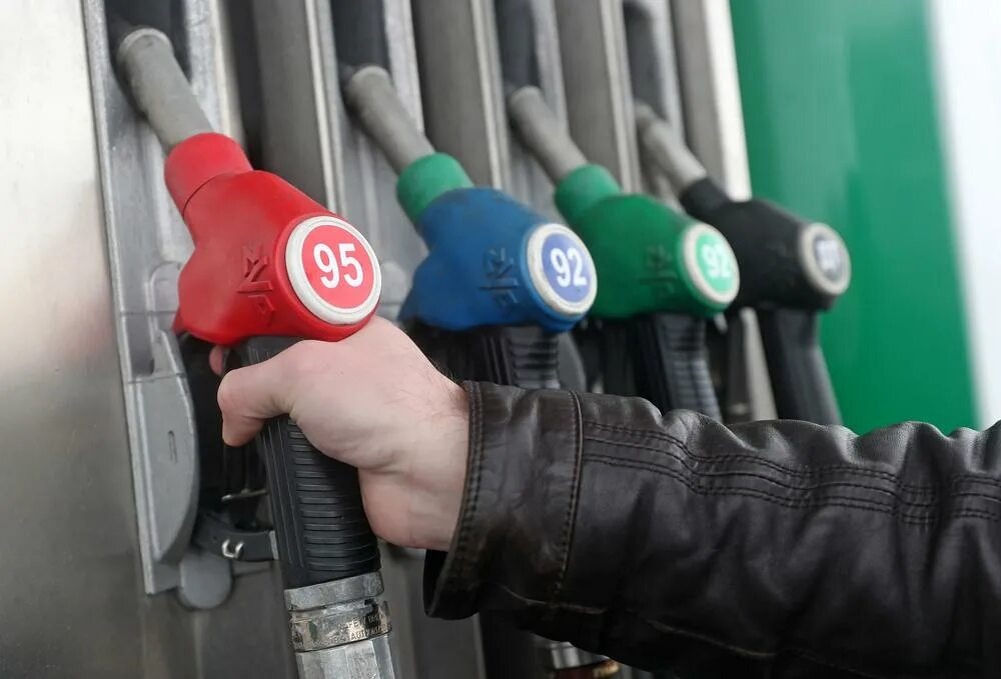 Фото заимствовано - https://life.ru/p/1329825