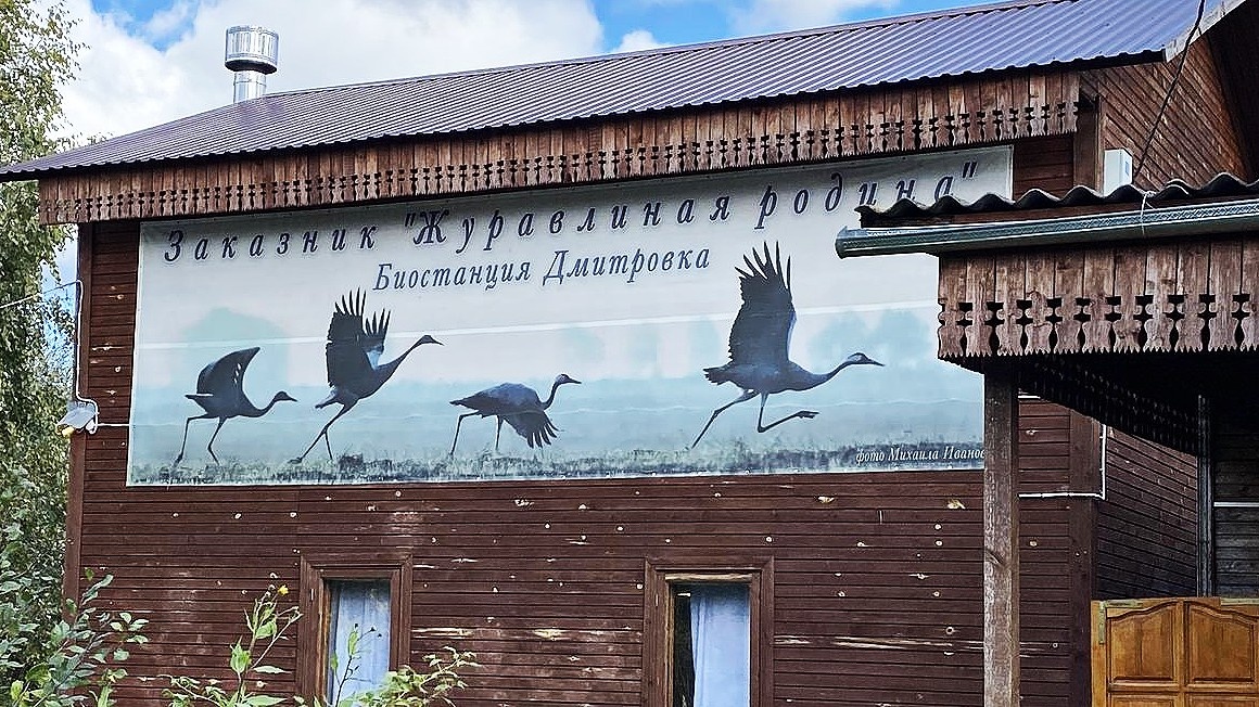 Журавлиная родина