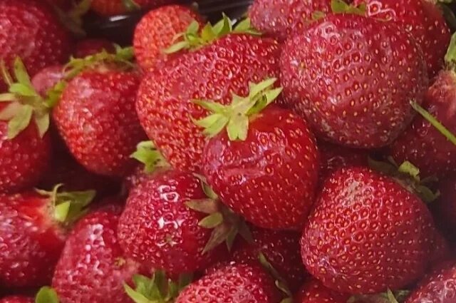    Сколько сейчас стоит садовая земляника в Туле?