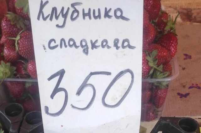    Фото: АиФ в Туле/ Алексей Мурат