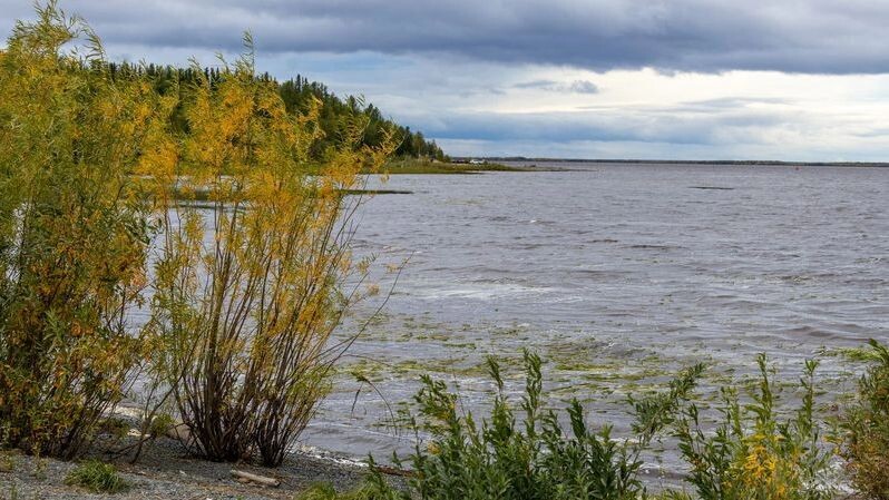    Фото: Федор Воронов/«Ямал-Медиа»