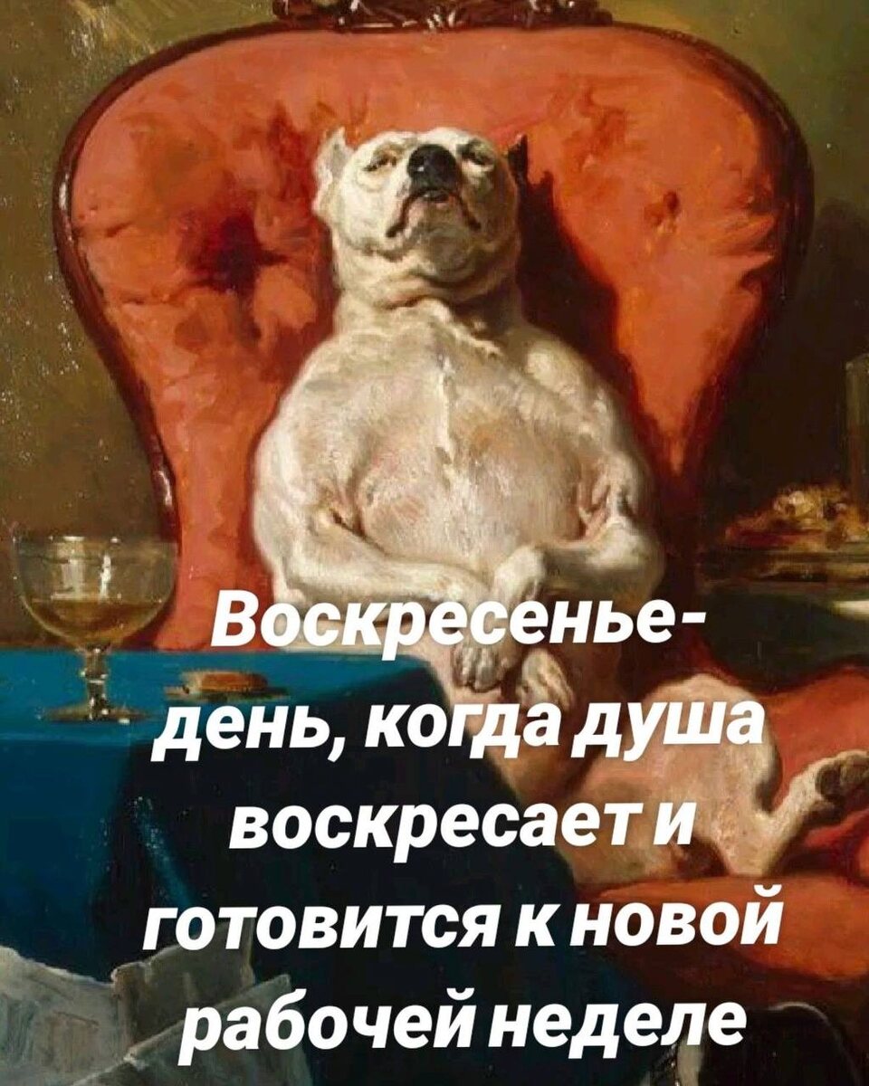 Картинка из открытого источника