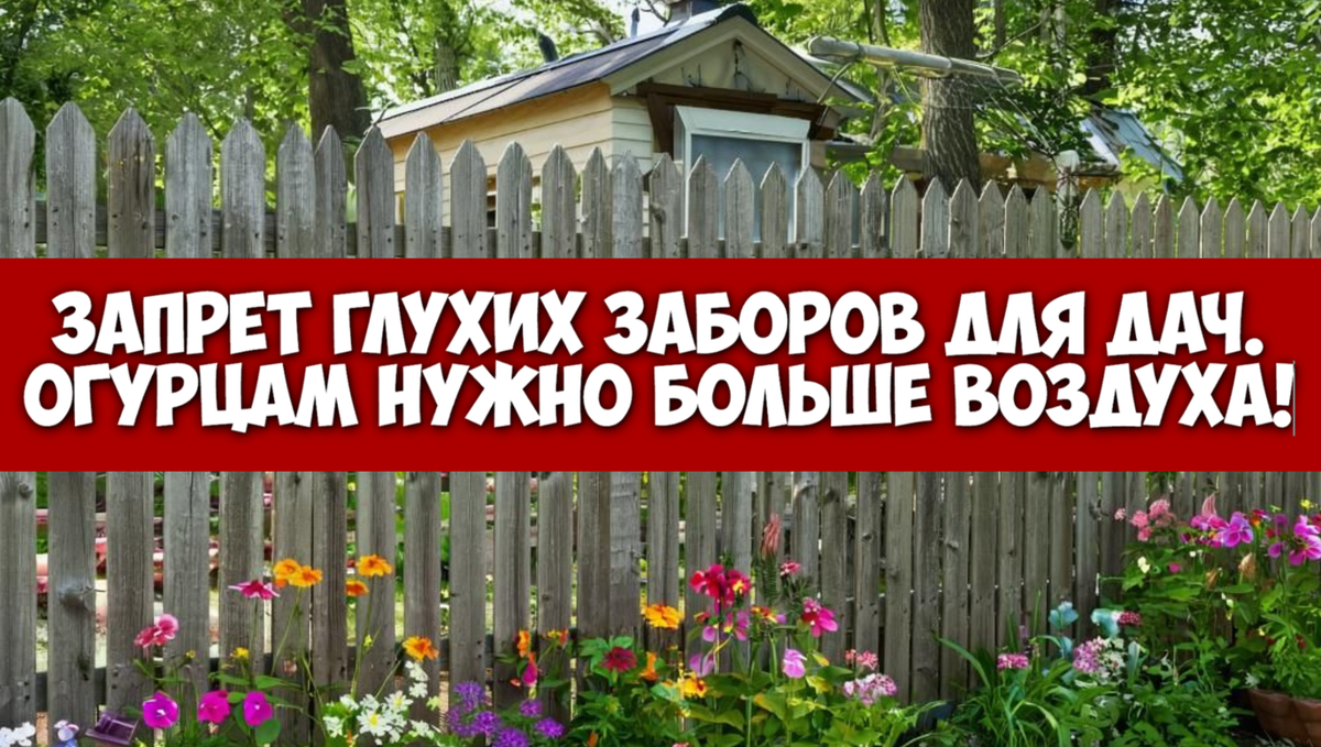Запрет глухих заборов для дач.