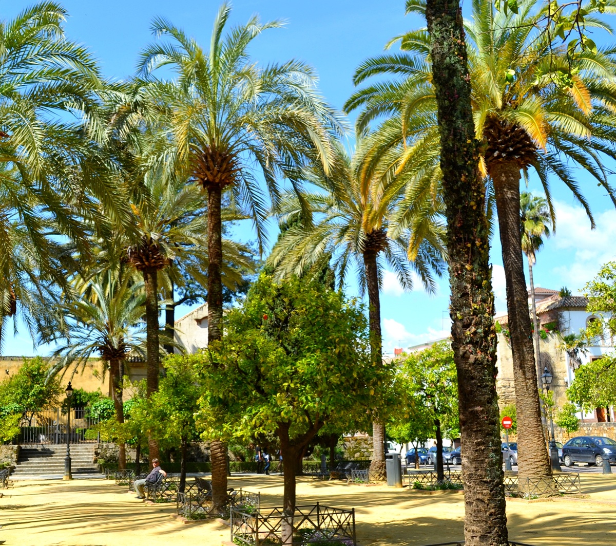 Испания. Кордоба. Фото автора 