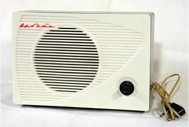 Ровно в 6 утра звучал гимн Советского Союза, и семья становилась по стойке "смирно"